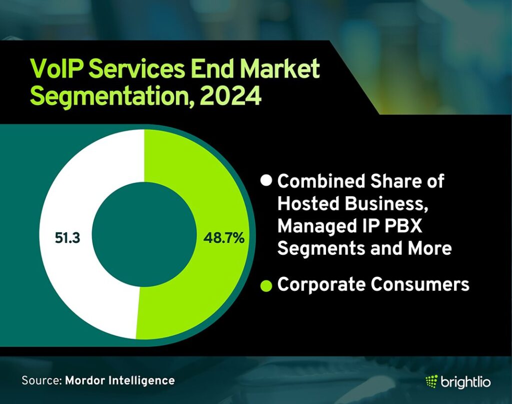 VoIP Services End Market Segmentation, 2024