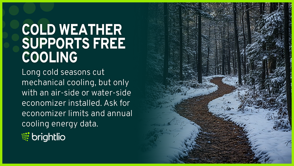 Cold Weather Supports Free Cooling for Colocation in Wisconsin Shown Through a Winding Trail Through a Snow-Covered Pine Forest